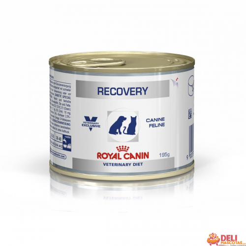 ROYAL CANIN RECOVERY CANINE FELINE